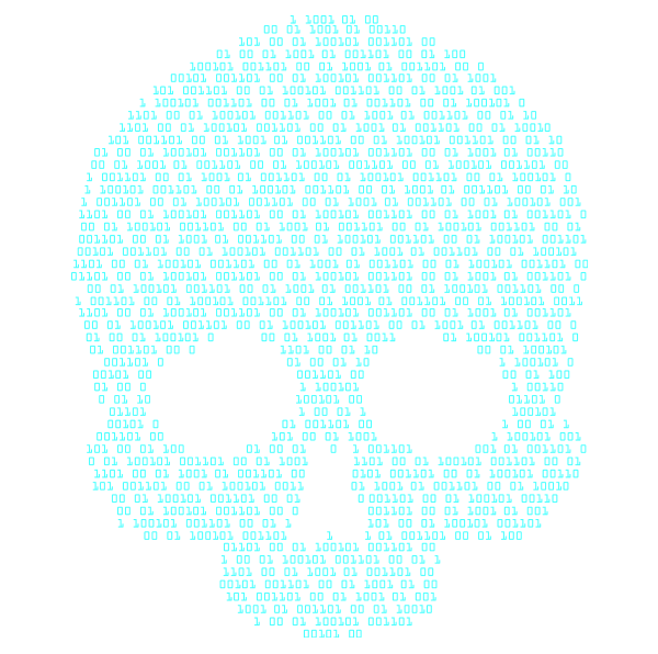 Skull in binary